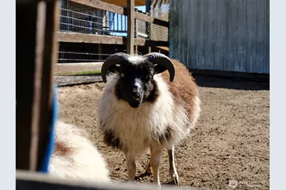 11700 NE 279th Street, Battle Ground, WA 98604 - Photo 28