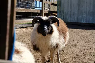 11700 NE 279th St, Battle Ground, WA 98604 - Photo 28