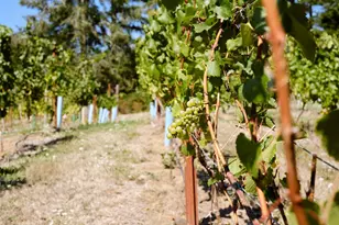 11700 NE 279th St, Battle Ground, WA 98604 - Photo 34