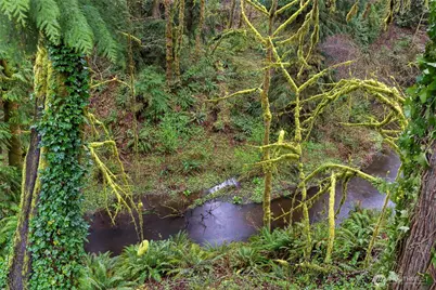 2415 SW Tyndell Circle, Tumwater, WA 98512 - Photo 40