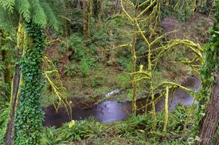 2415 SW Tyndell Circle, Tumwater, WA 98512 - Photo 40