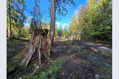 16827 NE 24th Place, Snohomish, WA 98290 - Photo 8