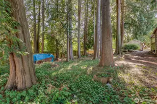 2324 Madison St, Everett, WA 98203 - Photo 10