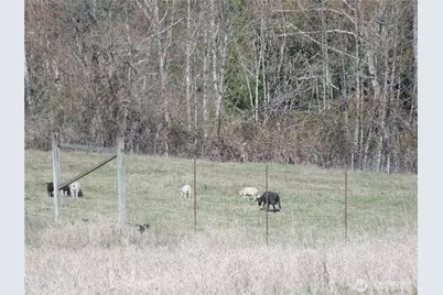 150 Elk Ridge Road, Mossyrock, WA 98564 - Photo 12