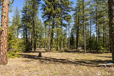 107 Wanawish Loop, Cle Elum, WA 98922 - Photo 8