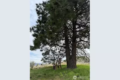 2830 Antoine Creek Road, Chelan, WA 98816 - Photo 4