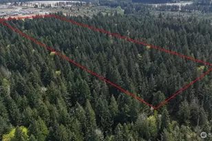 12642 170th Ave Ct E, Bonney Lake, WA 98391 - Photo 6