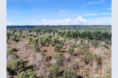 17908 16th Street SW, Longbranch, WA 98349 - Photo 4