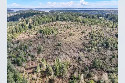 17908 16th Street SW, Longbranch, WA 98349 - Photo 10