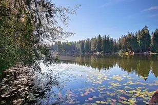 14411 200th Ave SE, Renton, WA 98059 - Photo 8