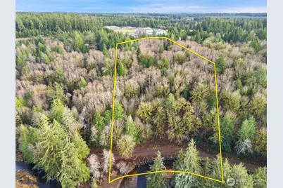 0 Tr 2&3 E Agate Road, Shelton, WA 98584 - Photo 4