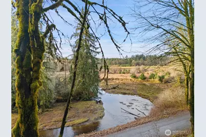 0 Tr 2&3 E Agate Road, Shelton, WA 98584 - Photo 6