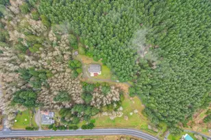 336 Big Hanaford Rd, Centralia, WA 98531 - Photo 40