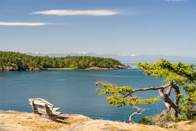 481 Grimes Riker Lane, Lopez Island, WA 98261 - Photo 2