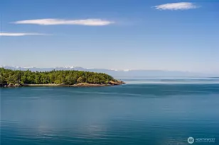 481 Grimes-Riker Ln, Lopez Island, WA 98261 - Photo 4