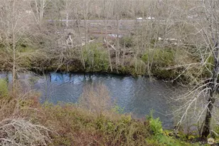 131 Muncie Ave, Quilcene, WA 98376 - Photo 2