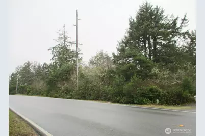 553 Dolphin Avenue NE, Ocean Shores, WA 98569 - Photo 1
