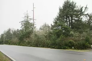 553 Dolphin Ave NE, Ocean Shores, WA 98569 - Photo 1