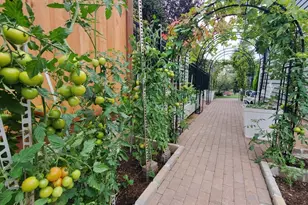 12022 SE 223rd Dr, Kent, WA 98031 - Photo 6