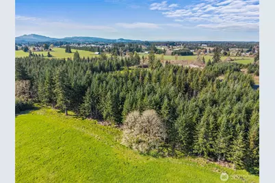 203 Bear Creek Lane, Winlock, WA 98596 - Photo 14