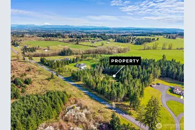 203 Bear Creek Lane, Winlock, WA 98596 - Photo 4