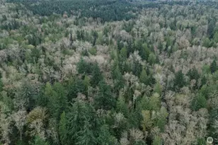 9 E St, Bellingham, WA 98225 - Photo 1