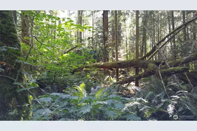 10 E Street, Bellingham, WA 98225 - Photo 4