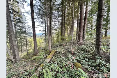 50113 146th Avenue E, Eatonville, WA 98328 - Photo 8