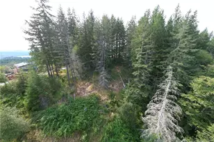 50113 146th Ave E, Eatonville, WA 98328 - Photo 1
