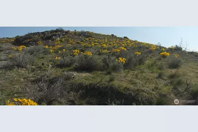 4 Brook Trout Lane, Methow, WA 98834 - Photo 2