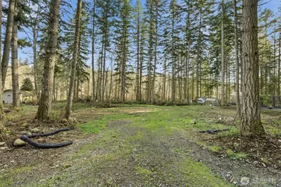 34323 Tanwax Drive E, Eatonville, WA 98328 - Photo 8