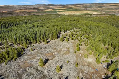 110 Blue Bird Ln, East Wenatchee, WA 98802 - Photo 10