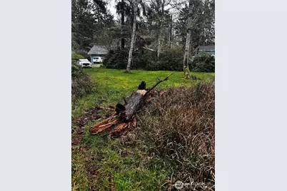 379 Eridani Loop SE, Ocean Shores, WA 98569 - Photo 4