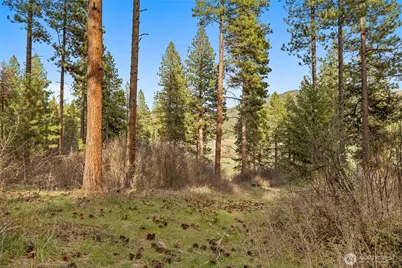 250 Fir Tree Drive, Cle Elum, WA 98922 - Photo 1