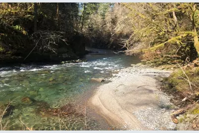 100 L-1100 Road, Yacolt, WA 98366 - Photo 6