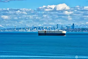 1757 Miracle Mile Dr E, Port Orchard, WA 98366 - Photo 1