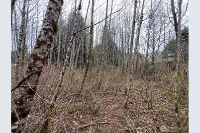 31 Ocean Beach Road, Pacific Beach, WA 98571 - Photo 28