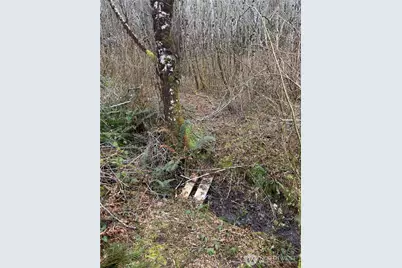 31 Ocean Beach Road, Pacific Beach, WA 98571 - Photo 22