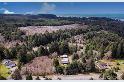 31 Ocean Beach Road, Pacific Beach, WA 98571 - Photo 10