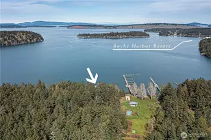 1 & 2 Driftwood Shores, Henry Island, WA 98250 - Photo 4