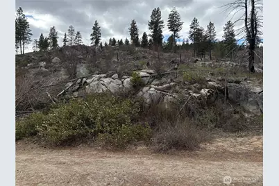 1 N Cook Mt Road, Okanogan, WA 98840 - Photo 4