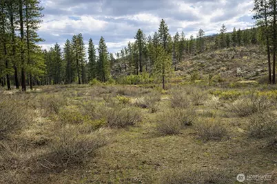 1 N Cook Mt Road, Okanogan, WA 98840 - Photo 1