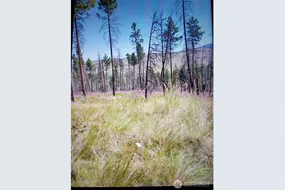 111 Tbd J H Green Rd, Tonasket, WA 98855 - Photo 6