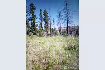 111 Tbd J H Green Rd, Tonasket, WA 98855 - Photo 8