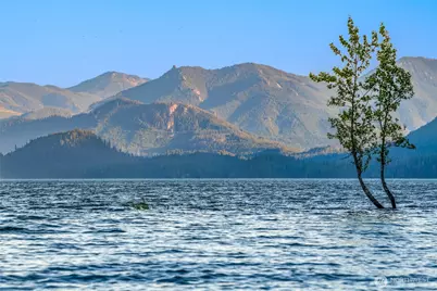 4422 Kachess Lake Road, Easton, WA 98925 - Photo 34