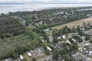 810 Magellan Ave NE, Ocean Shores, WA 98569 - Photo 32