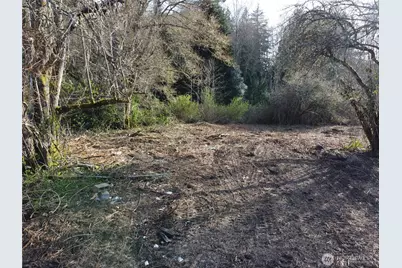 0 Xxx Embody Road, Port Ludlow, WA 98365 - Photo 2