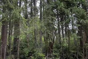 12216 Wapato Rd, Anderson Island, WA 98303 - Photo 1