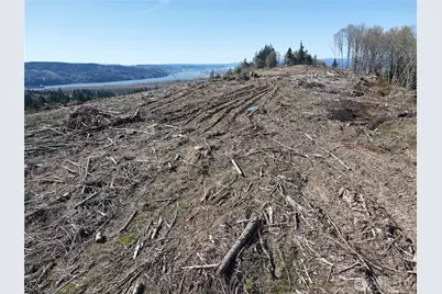 559 Kool Road, Kelso, WA 98626 - Photo 24