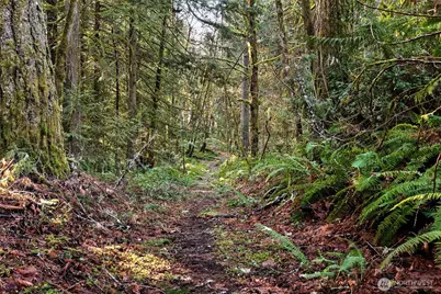 0 SE Totten Shores Drive, Shelton, WA 98584 - Photo 20